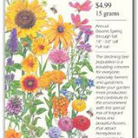 Uploads - Products - Botanicalinterestsseeds - Botanicalinterestsseeds - Botanicalinterestsseeds-Smallest.jpg Uploads/Products/Botanicalinterestsseeds/Botanicalinterestsseeds-Smallest.jpg