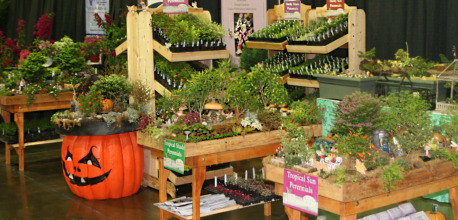 Find Mulberry Creek at the following 2023 Plant Sales Uploads/Products/2013ofa Best Large/2013ofa_Best_Large-Medium.jpg