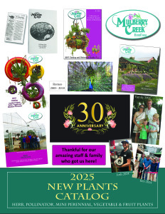 2020 Catalog
