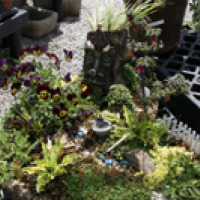 Green Man Hypertufa Garden 5