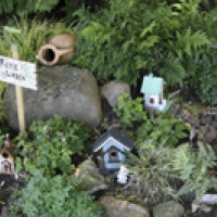 North Faery Garden 5