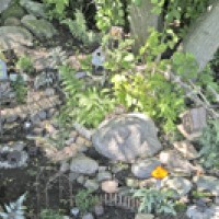 North Faery Garden 4