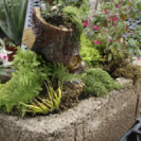 Green Man Hypertufa Garden 3