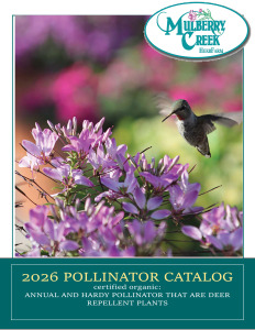 click here for the 2026 POLLINATORS Catalog  catalog
