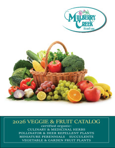 click here for the VEGGIE & FRUIT CATALOG catalog