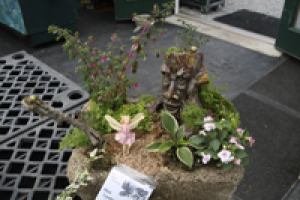 Green Man Hypertufa Garden 1