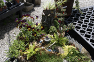 Green Man Hypertufa Garden 5