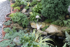 Walkway Faery Garden 3