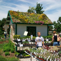Fairy Garden